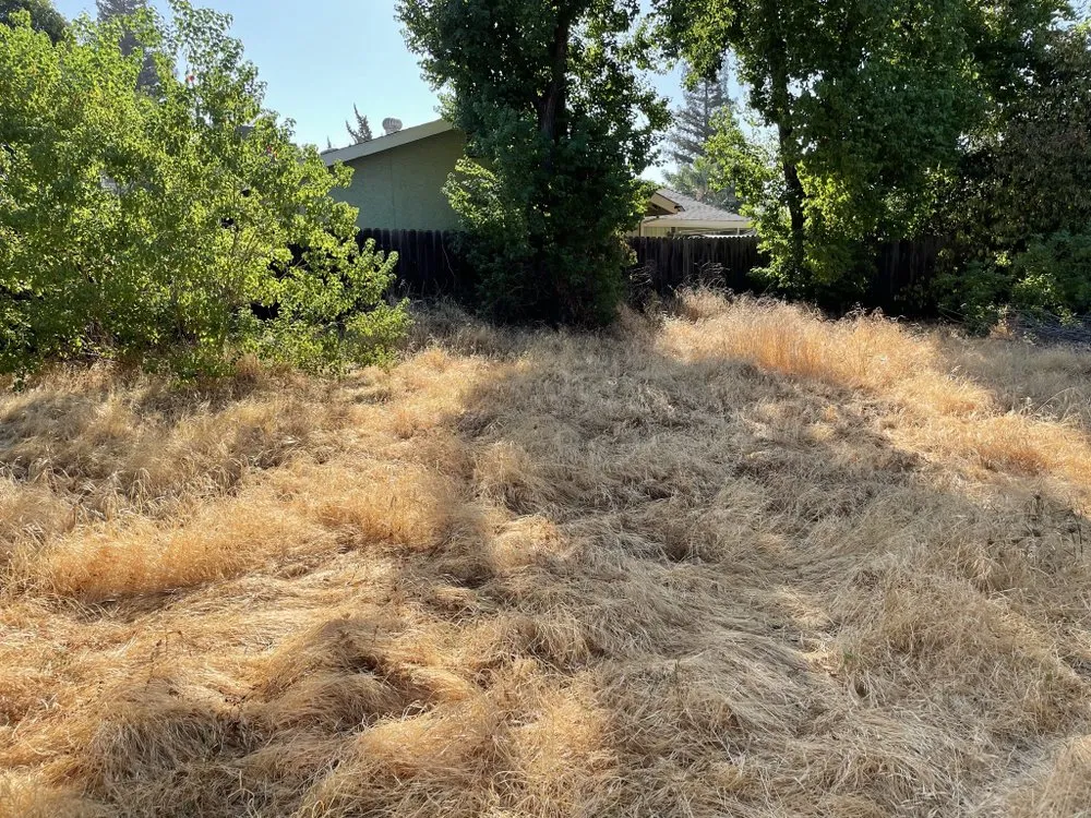 Reliable lawn mowing service experts serving Sacramento, CA - Cooper Lawn Care