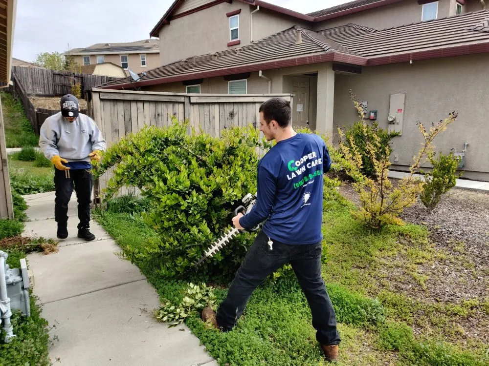 Professional outdoor landscaping for outdoor upgrades across Sacramento, CA - Cooper Lawn Care