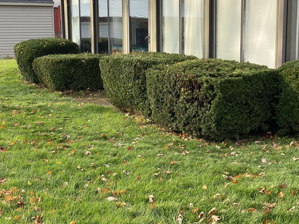 Top-rated yard maintenance experts serving Atlanta, IN - Cooper Lawncare Maintenance