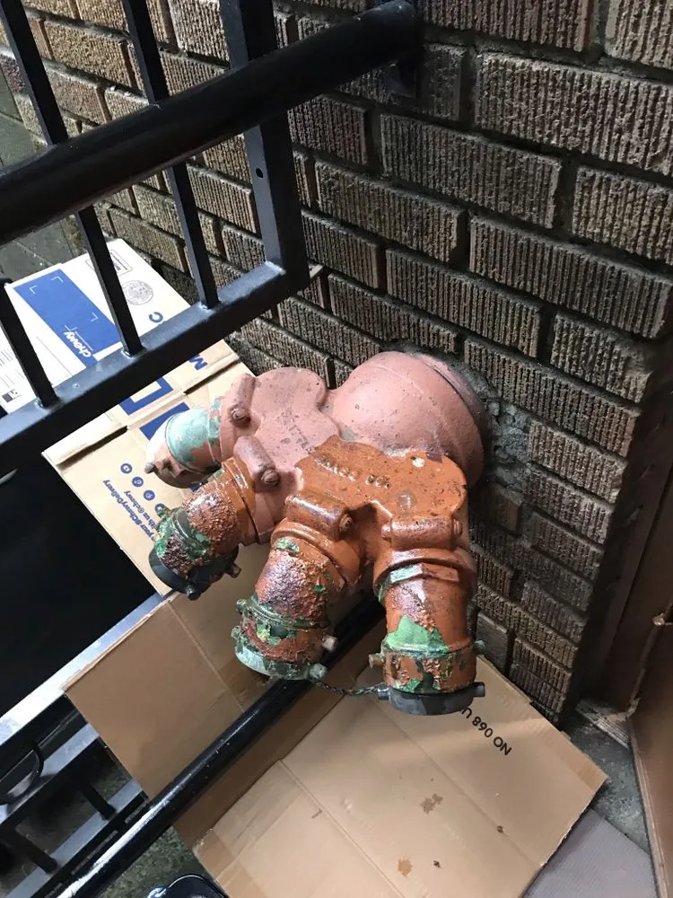 Expert yard maintenance in Seattle, WA by Coopers Home Services