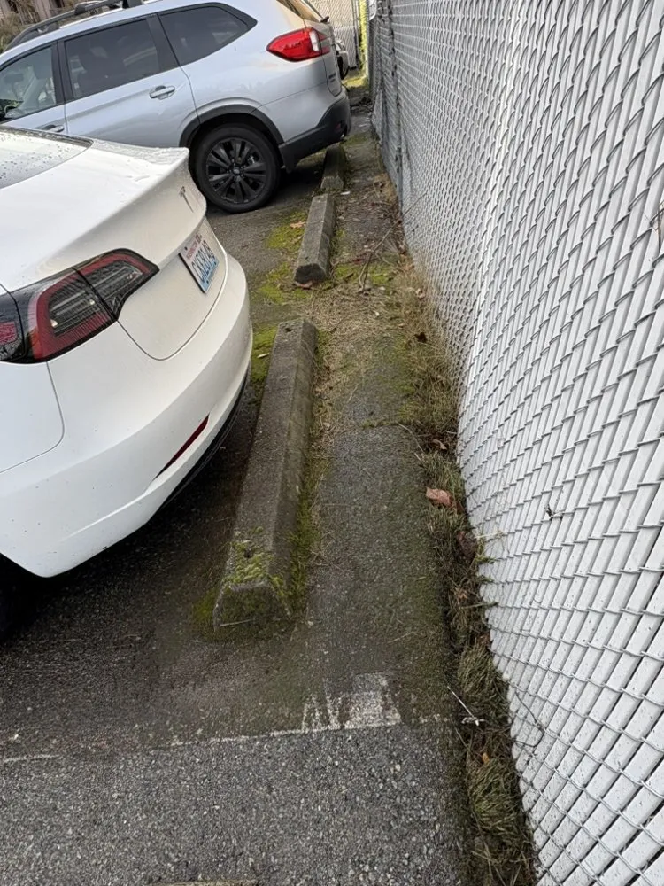 Trusted landscape installation in Seattle, WA by Coopers Home Services