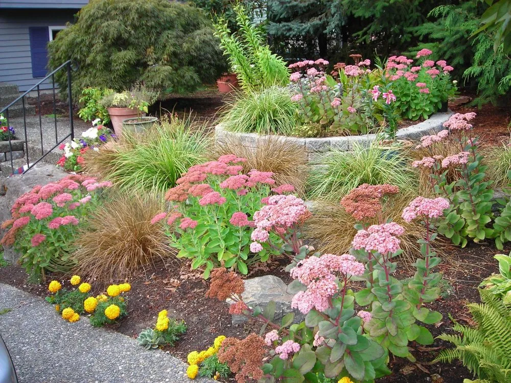 Custom yard maintenance for homes in Seattle, WA by Coopers Home Services
