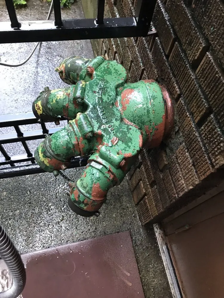 Expert yard maintenance in Seattle, WA by Coopers Home Services