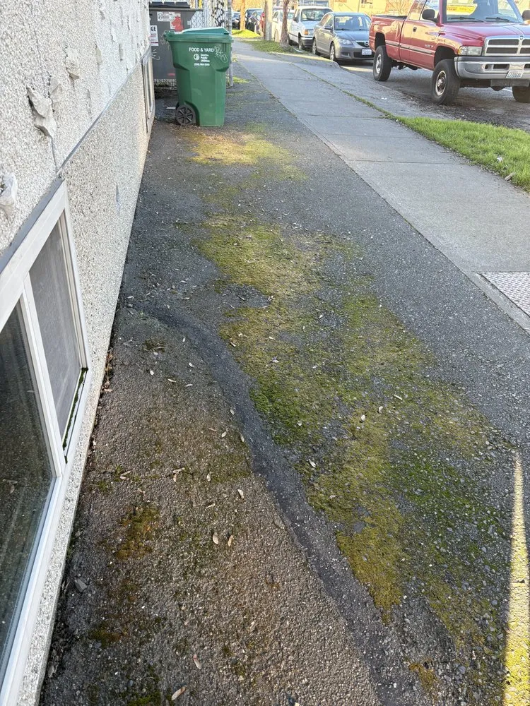 Custom garden landscaping in Seattle, WA - Coopers Home Services