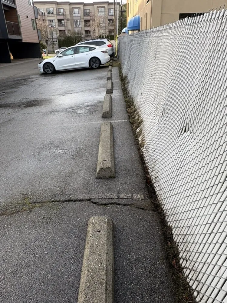 Custom lawn mowing service experts serving Seattle, WA - Coopers Home Services