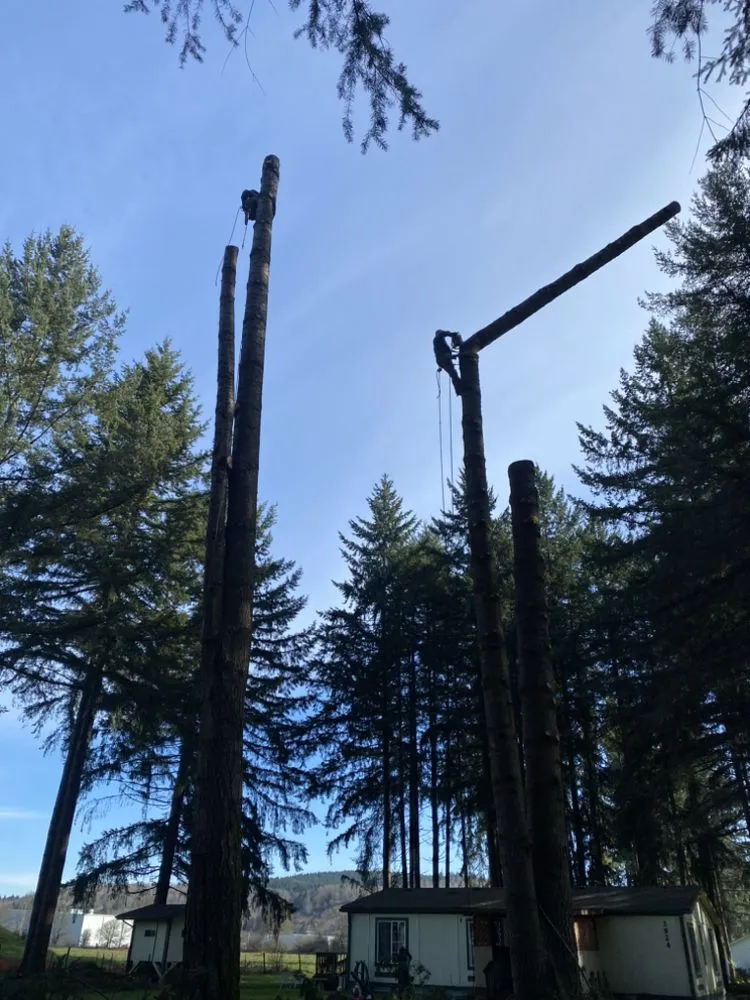 Professional landscaping services in Tenino, WA by Coopers Land Management