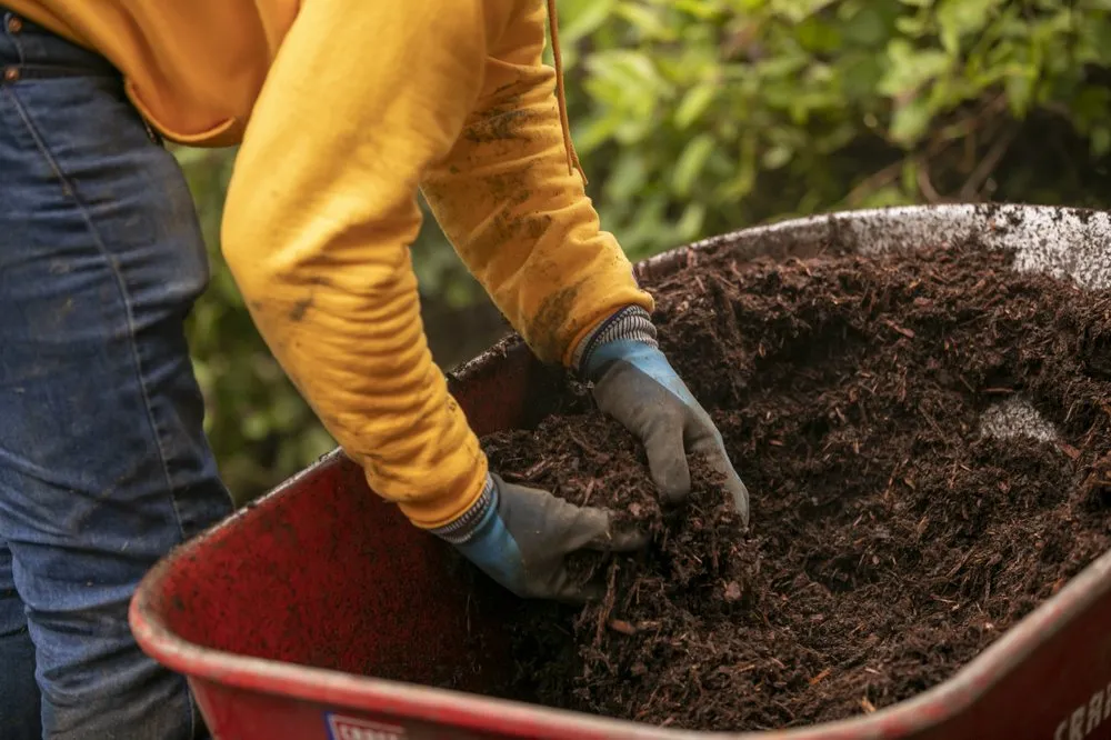 Custom yard maintenance for residential properties across Lynnwood, WA - Cooper’s Landscape