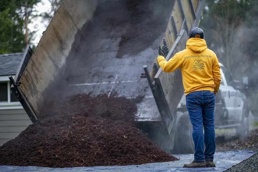 Professional landscaping services experts serving Lynnwood, WA - Cooper’s Landscape