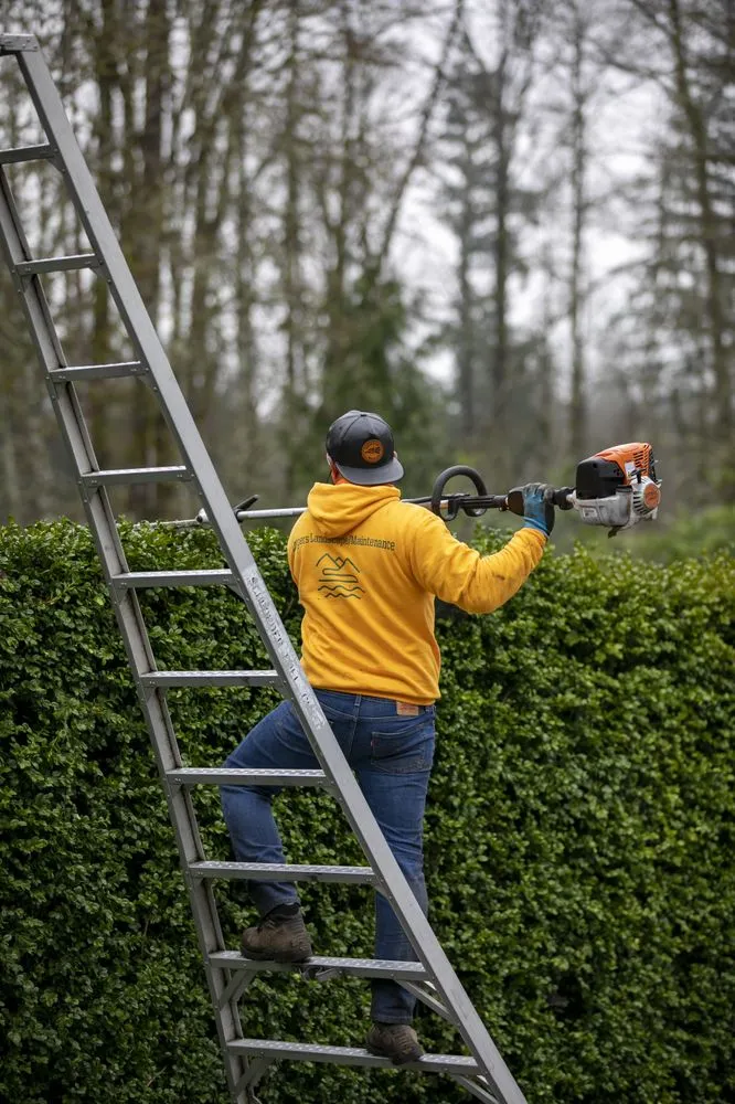 Expert landscape installation in Lynnwood, WA - Cooper’s Landscape