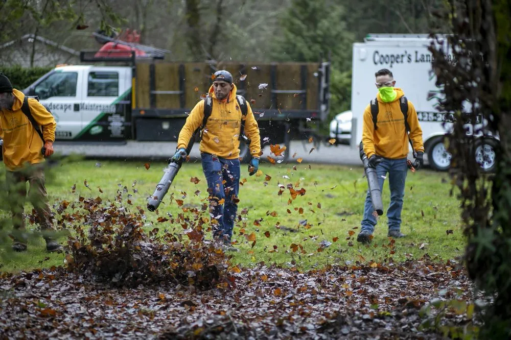 Affordable garden landscaping in Lynnwood, WA by Cooper’s Landscape