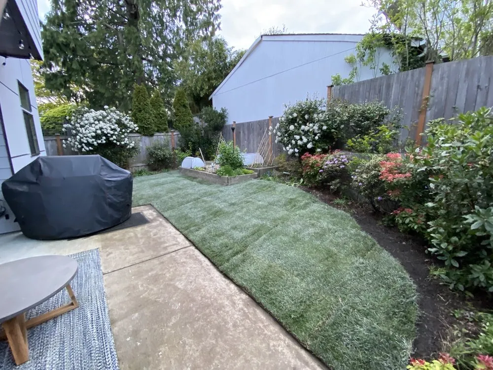 Professional lawn care service experts serving Lynnwood, WA - Cooper’s Landscape