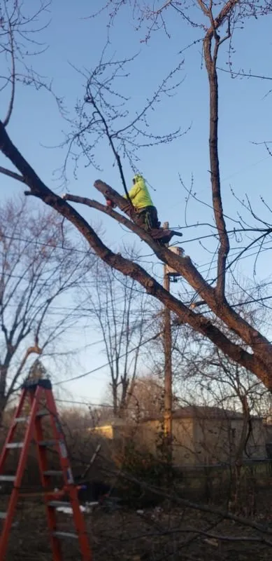 Custom landscaping services experts serving Lawrence, IN - Coopers Landscaping