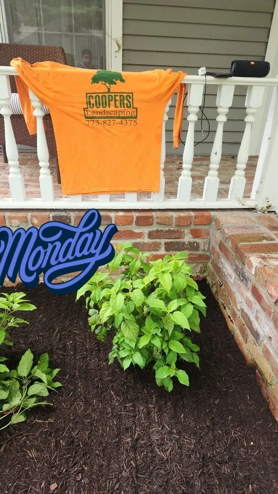 Custom yard maintenance for homes in Lawrence, IN by Coopers Landscaping