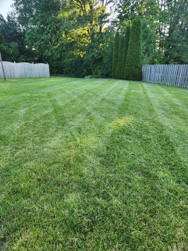 Top-rated lawn care service in Lawrence, IN by Coopers Landscaping