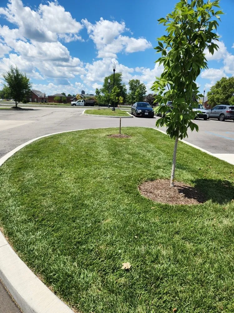 Trusted residential landscaping for outdoor upgrades in Lawrence, IN by Coopers Landscaping