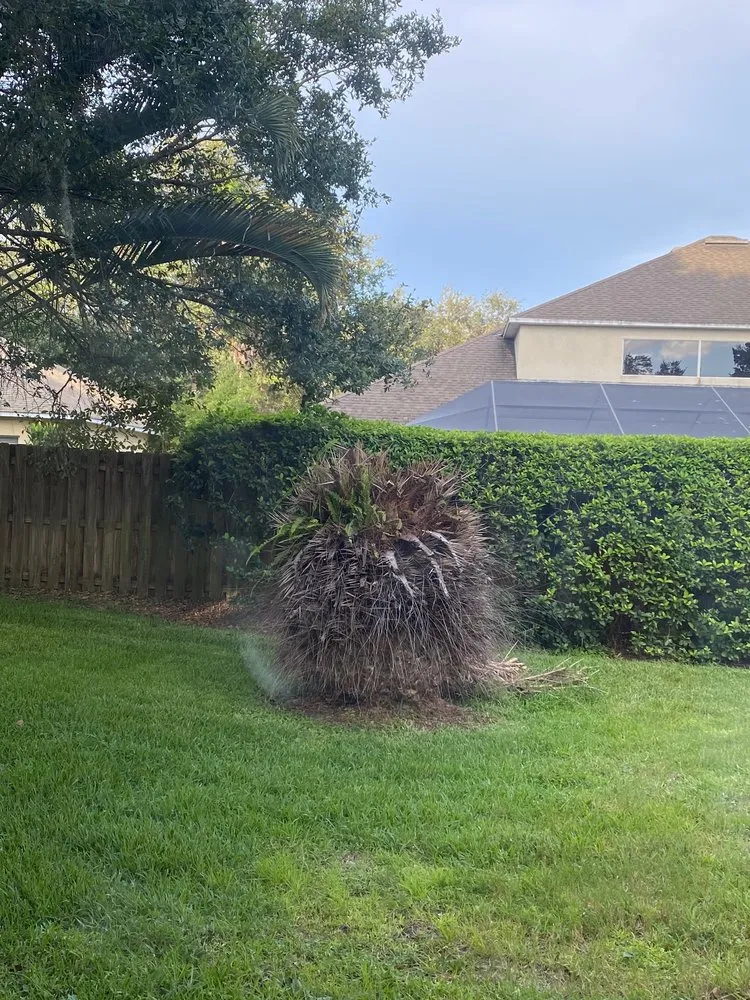 Custom lawn mowing service experts serving Plant City, FL - Cooper's Lawn & Landscaping