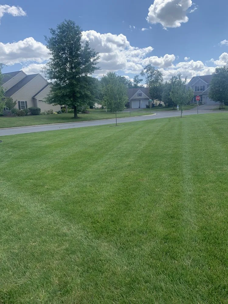 Top-rated landscape design in Womelsdorf, PA - Cooper’s Lawn And Landscape