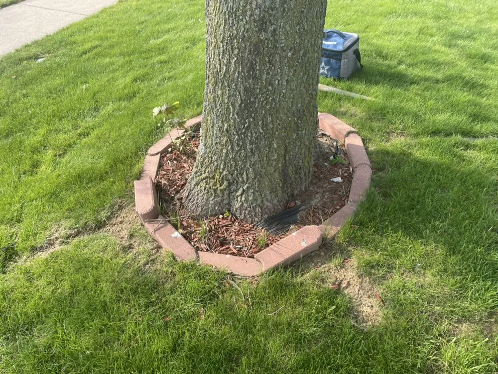 Affordable lawn care service in Davenport, IA by Coopers Lawn Care & More