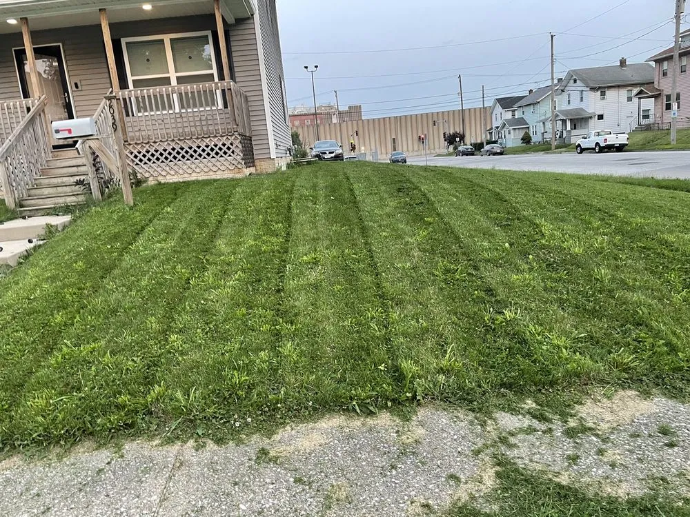 Professional yard maintenance experts serving Davenport, IA - Coopers Lawn Care & More