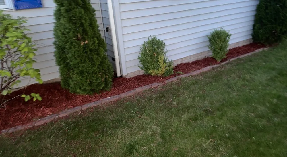 Top-rated yard maintenance near you across Davenport, IA - Coopers Lawn Care & More