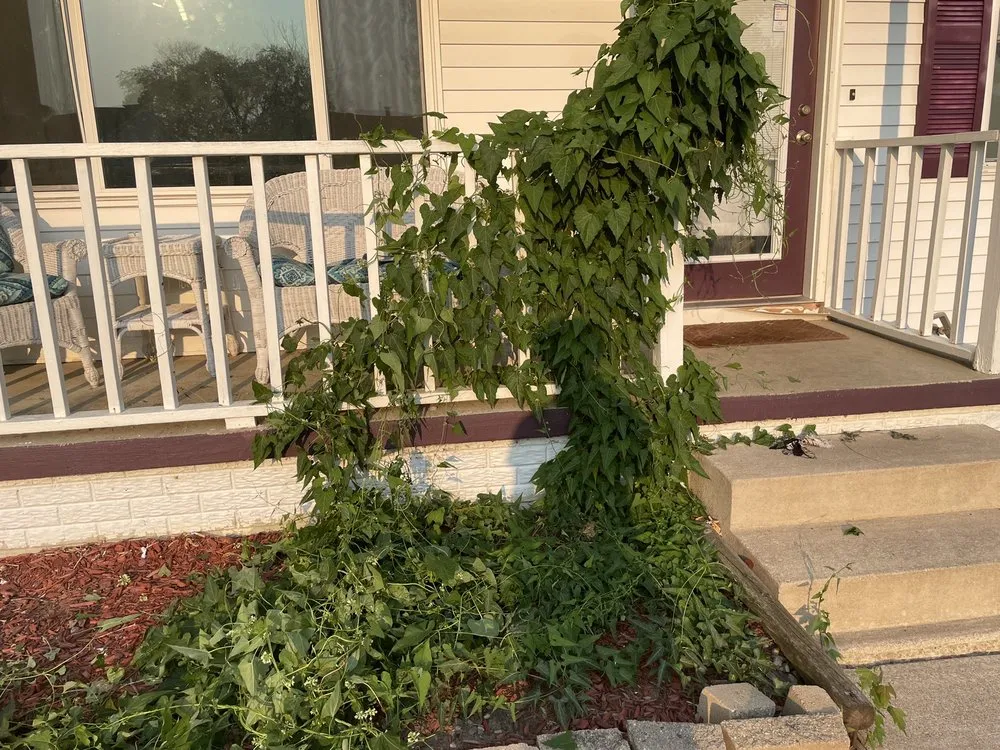 Reliable landscape installation for beautiful yards across Davenport, IA - Coopers Lawn Care & More