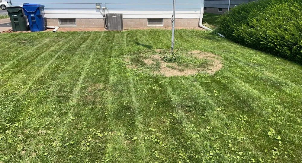 Top-rated landscape installation near you in Davenport, IA by Coopers Lawn Care & More