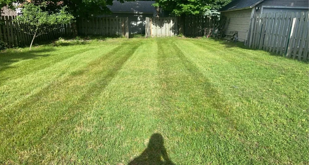 Affordable yard cleanup service in Fountain, MI - Coopers Lawn Care