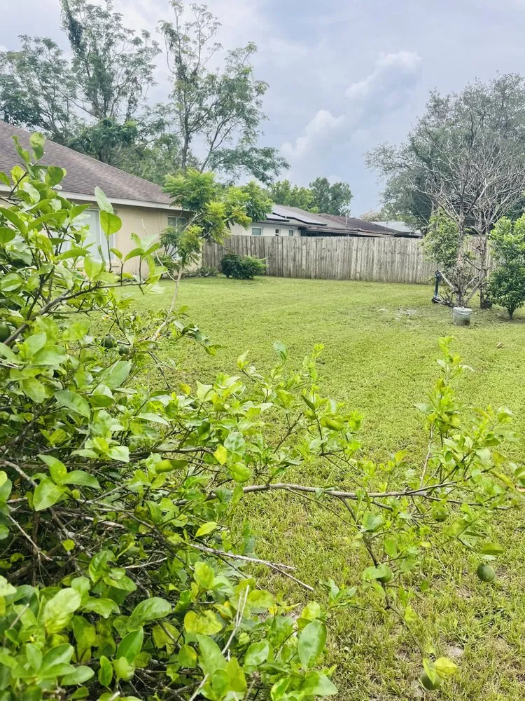 Top-rated landscape design experts serving Orange City, FL - Coopers Lawn Care