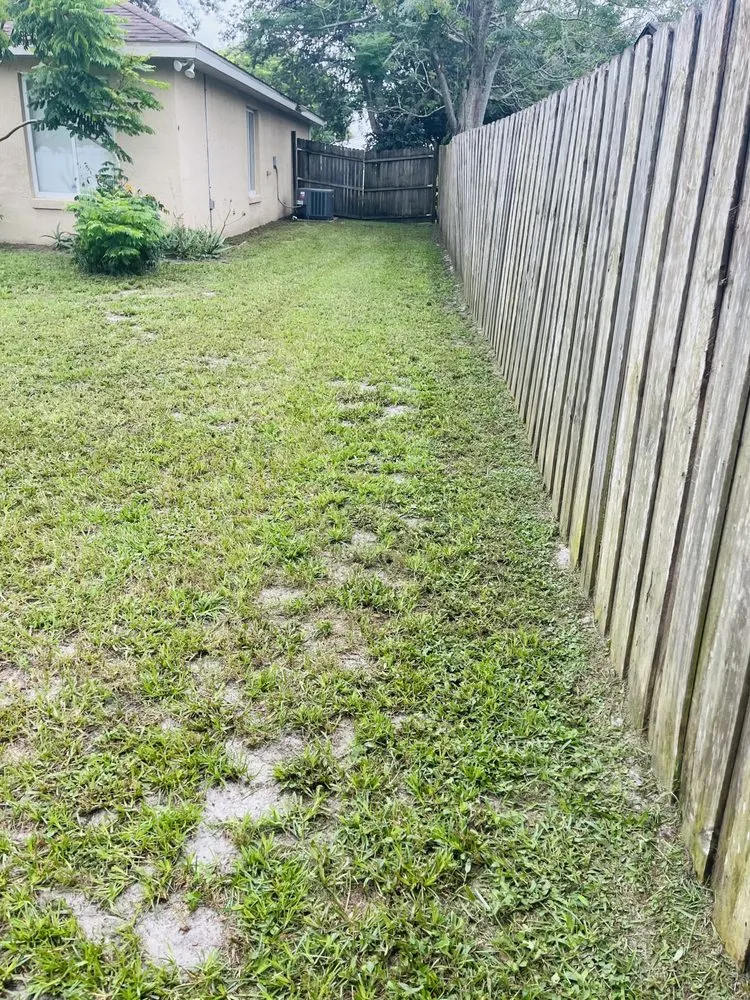 Affordable lawn mowing service in Orange City, FL - Coopers Lawn Care