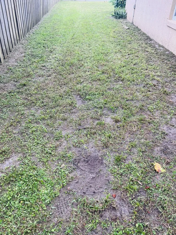 Affordable landscape design for beautiful yards across Orange City, FL - Coopers Lawn Care