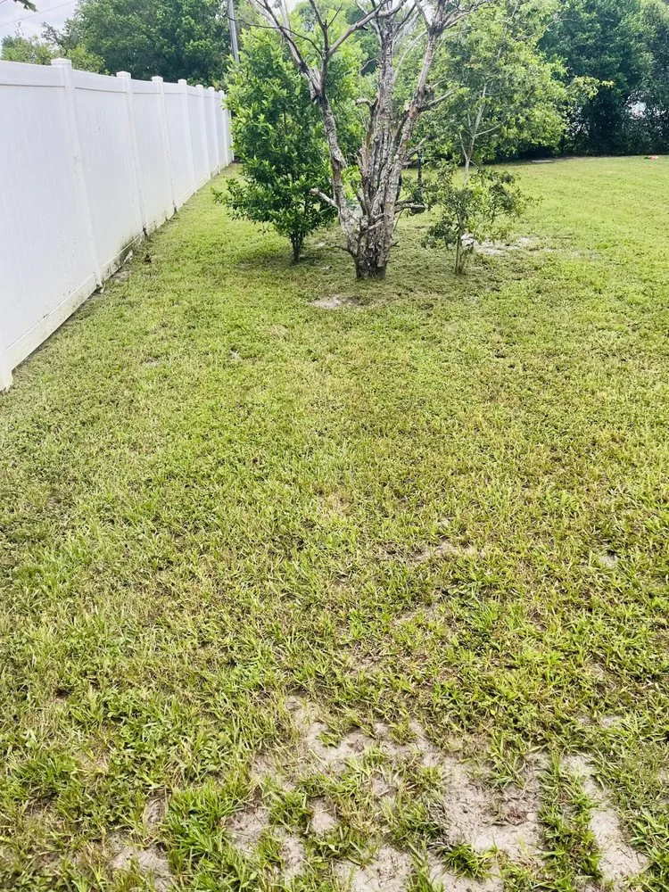 Affordable lawn mowing service with custom design across Orange City, FL - Coopers Lawn Care