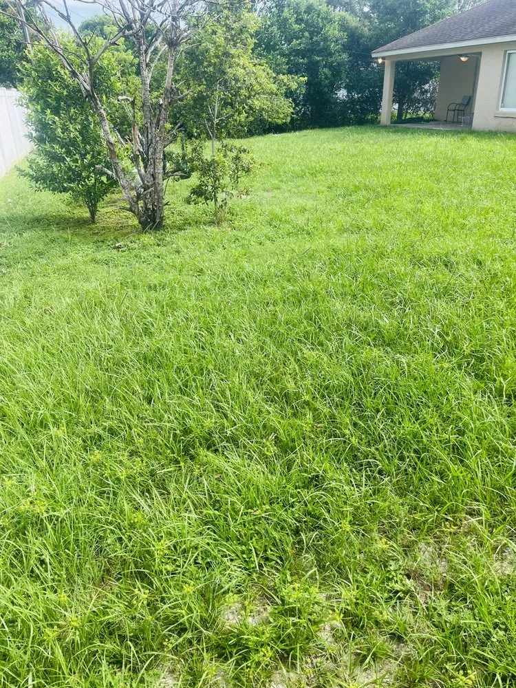 Affordable landscape design in Orange City, FL by Coopers Lawn Care