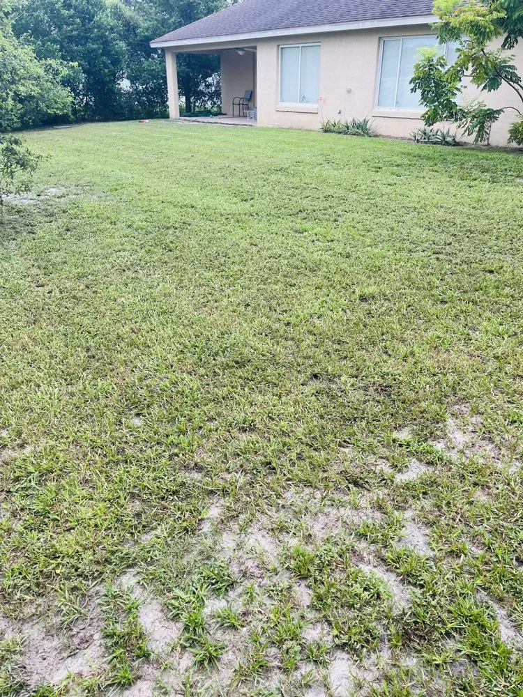 Trusted landscaping services in Orange City, FL - Coopers Lawn Care