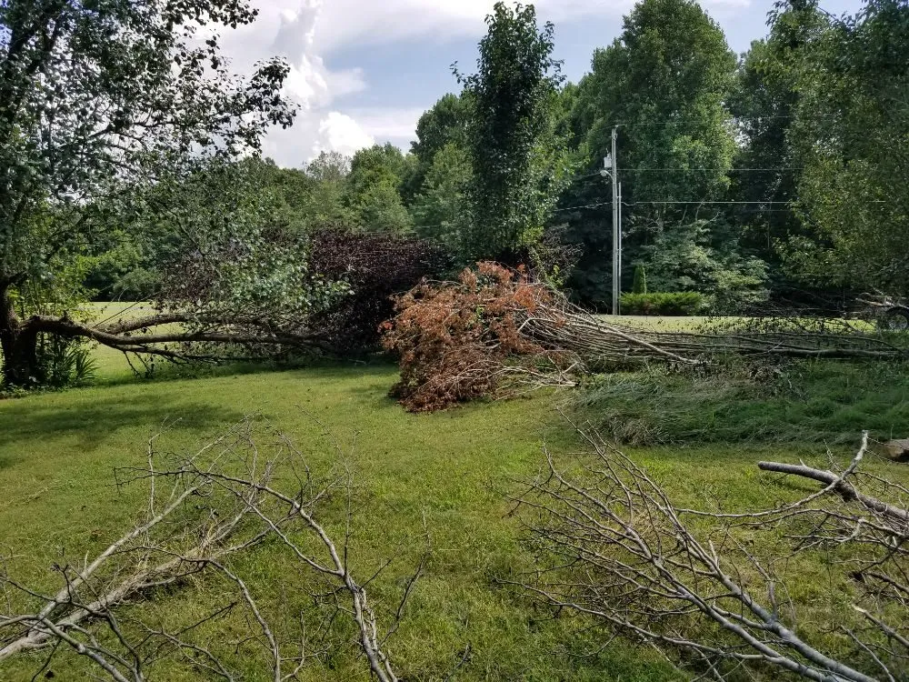 Expert residential landscaping for homes in White House, TN by Coopers Lawn Landscaping and Handyman Services