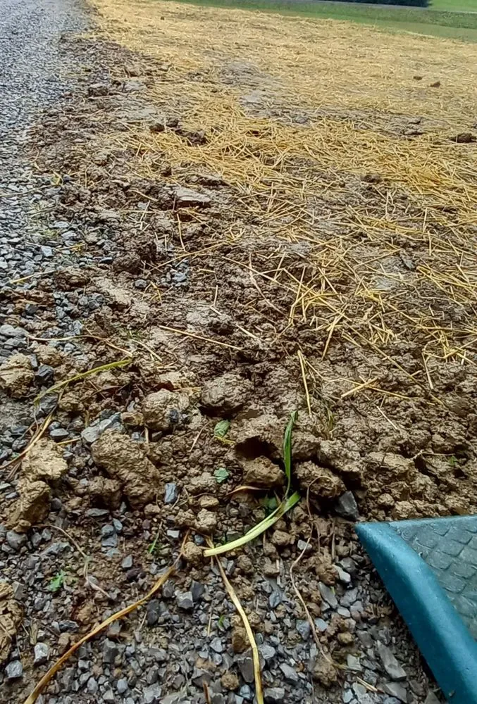 Professional landscape design in White House, TN by Coopers Lawn Landscaping and Handyman Services