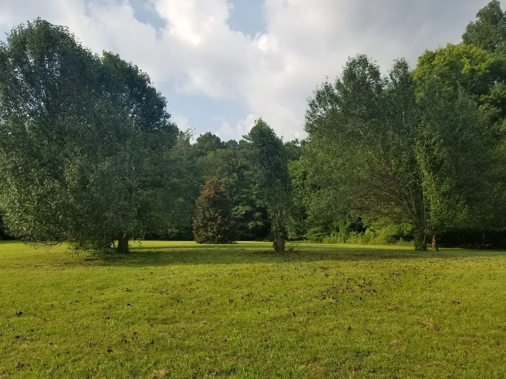 Trusted yard cleanup service for beautiful yards in White House, TN by Coopers Lawn Landscaping and Handyman Services