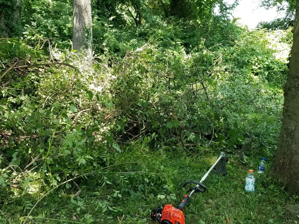 Professional residential landscaping experts serving White House, TN - Coopers Lawn Landscaping and Handyman Services