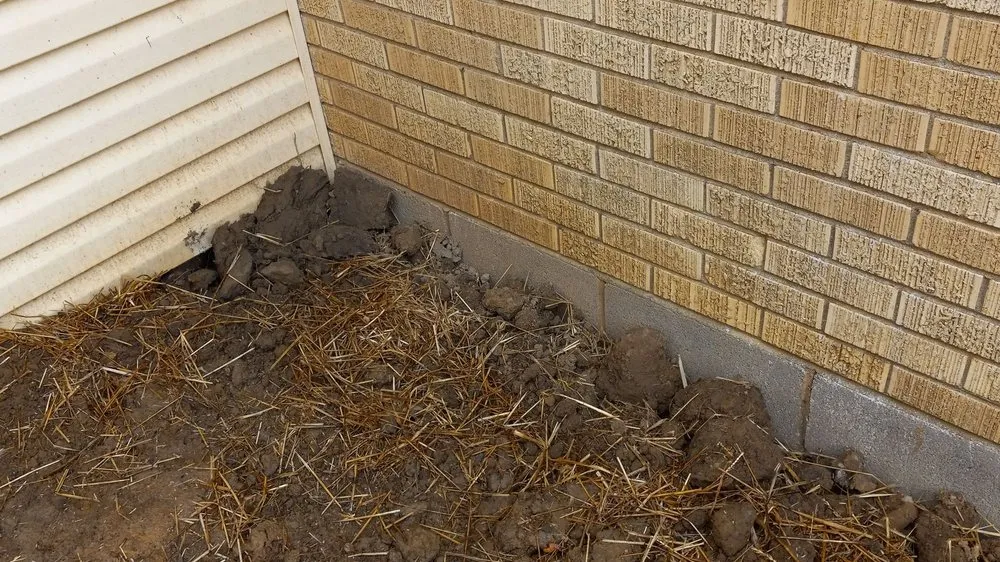 Affordable landscape installation in White House, TN - Coopers Lawn Landscaping and Handyman Services