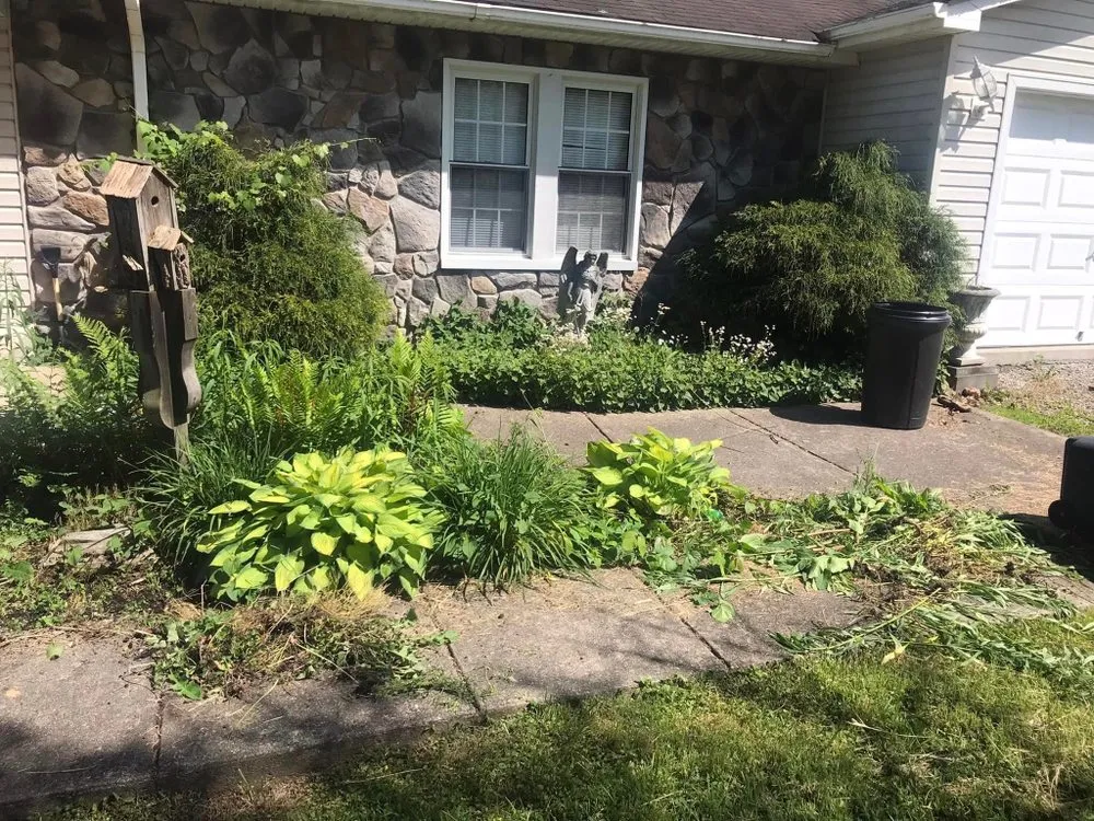 Reliable yard maintenance for beautiful yards in Beaver, WV by Cooper’s Lawn Service