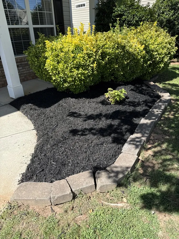 Top-rated outdoor landscaping for beautiful yards across Greer, SC - Cooper’s Lawncare & Maintenance