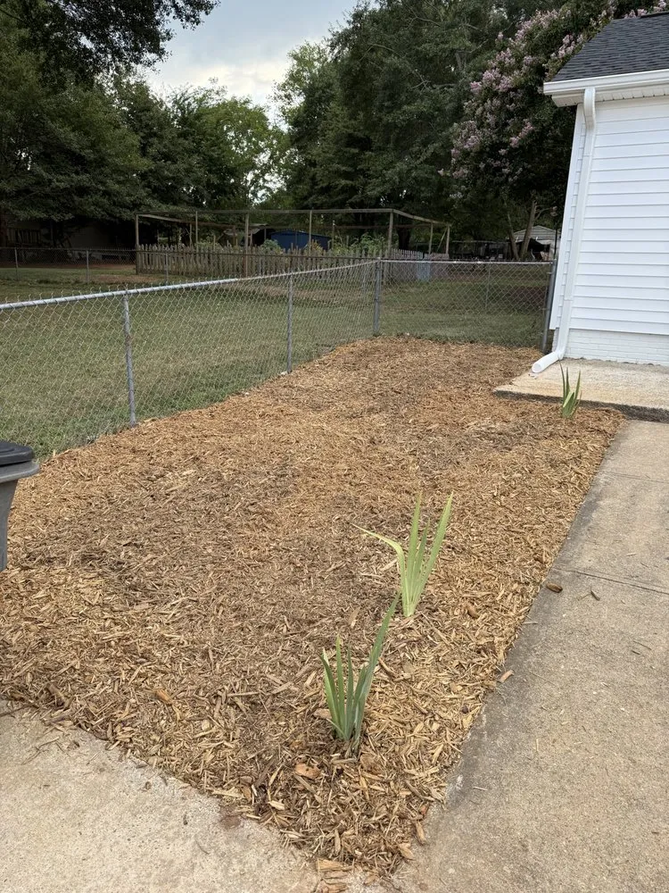 Top-rated lawn care service experts serving Greer, SC - Cooper’s Lawncare & Maintenance