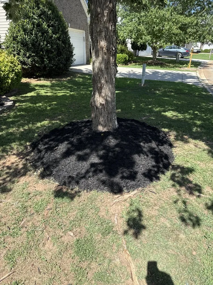 Trusted outdoor landscaping for outdoor upgrades in Greer, SC by Cooper’s Lawncare & Maintenance