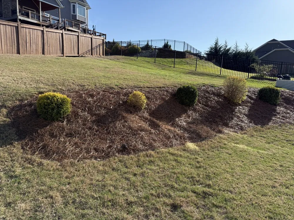 Trusted landscaping services experts serving Greer, SC - Cooper’s Lawncare & Maintenance