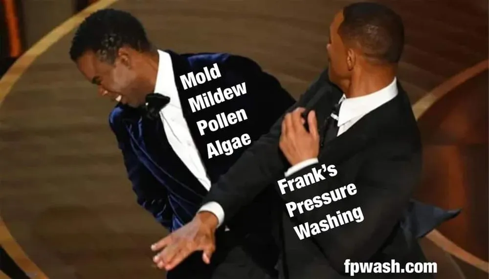 Affordable yard maintenance in Fernandina Beach, FL by Cooper's Pressure Washing