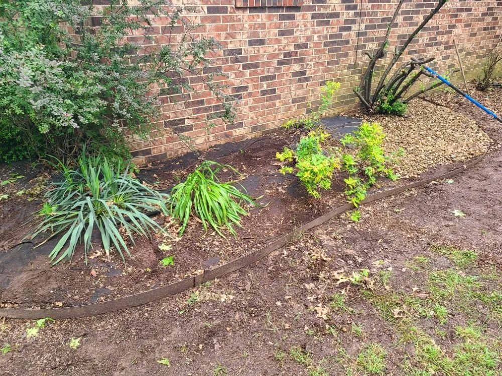 Reliable lawn mowing service for residential properties across Siloam Springs, AR - Coopers Property Solutions