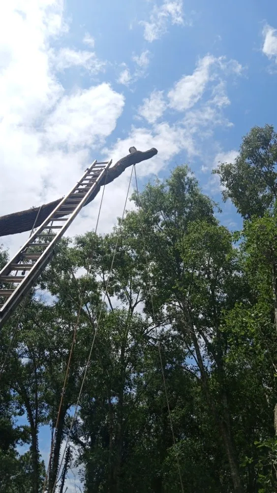 Affordable garden landscaping for beautiful yards in Mobile, AL by Cooper's Tree Service