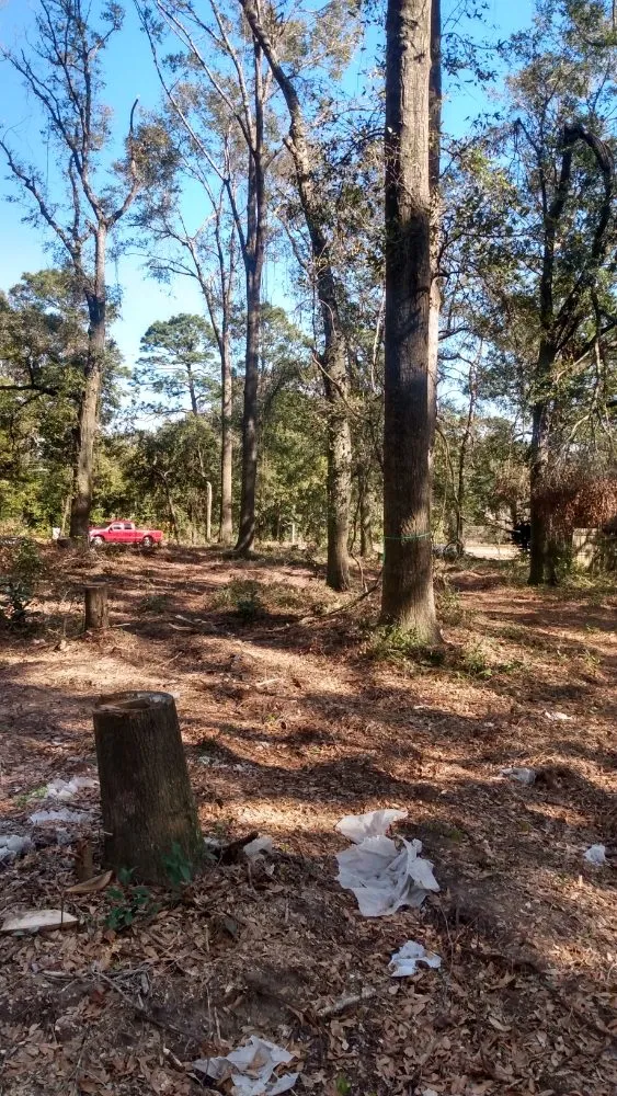 Reliable garden landscaping in Mobile, AL - Cooper's Tree Service