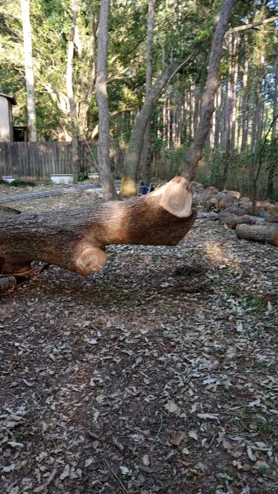 Custom residential landscaping experts serving Mobile, AL - Cooper's Tree Service