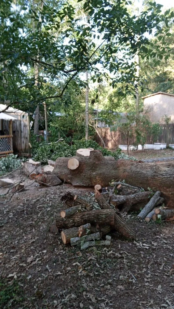 Affordable yard maintenance for homes across Mobile, AL - Cooper's Tree Service