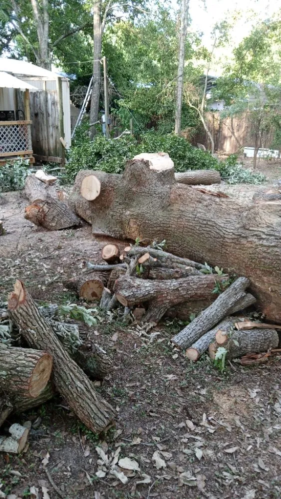 Local lawn care service in Mobile, AL by Cooper's Tree Service